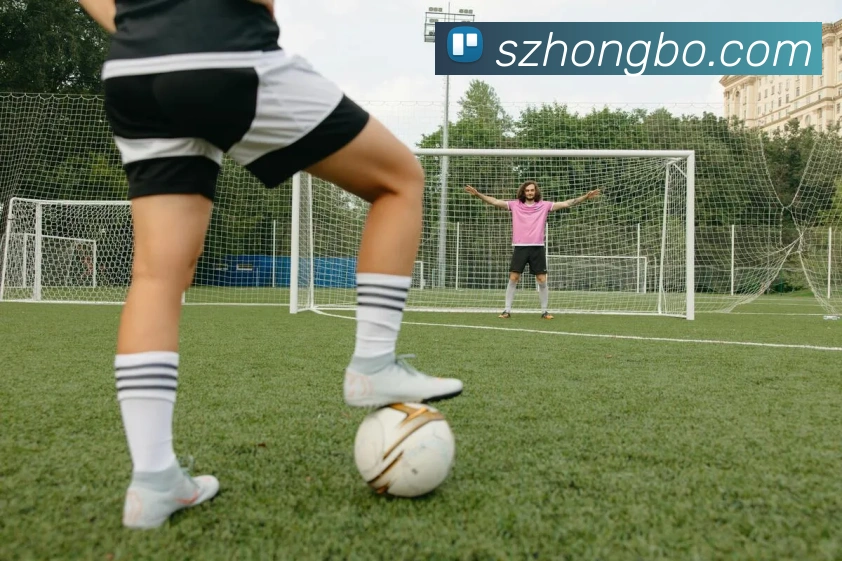 滚球买球的app平台生态图